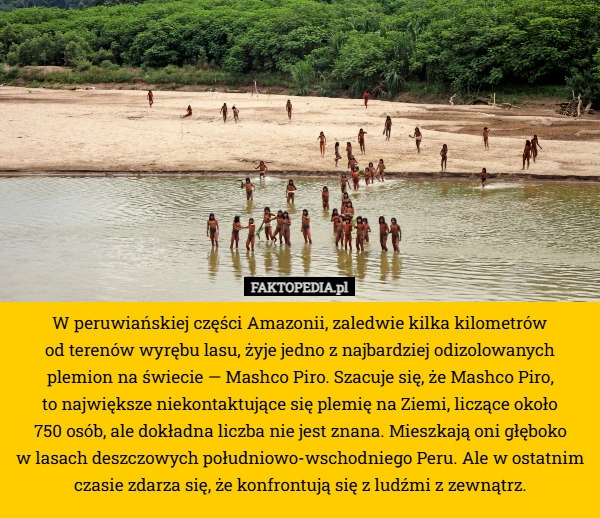 
    W peruwiańskiej części Amazonii, zaledwie kilka kilometrów
 od terenów wyrębu