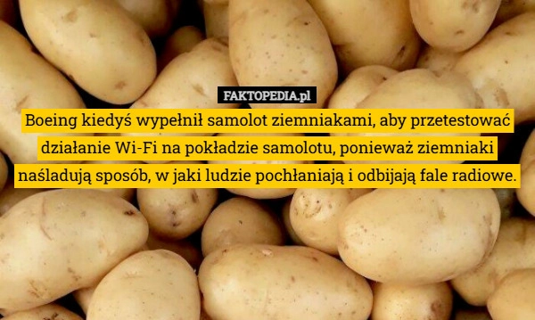 
    Boeing kiedyś wypełnił samolot ziemniakami, aby przetestować działanie Wi-Fi