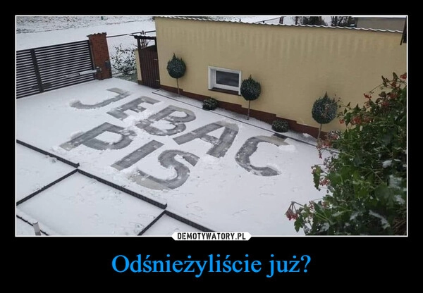 
    
Odśnieżyliście już? 