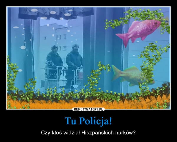 
    Tu Policja! 