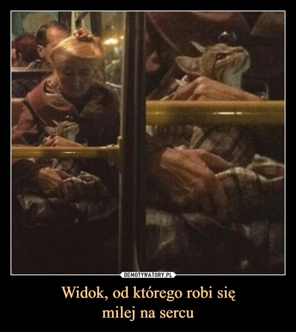 
    Widok, od którego robi się
milej na sercu