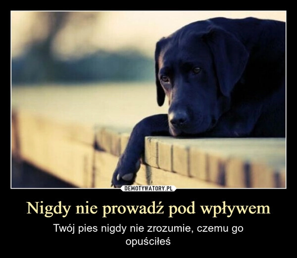 
    Nigdy nie prowadź pod wpływem