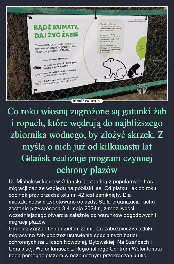 
    Co roku wiosną zagrożone są gatunki żab i ropuch, które wędrują do najbliższego zbiornika wodnego, by złożyć skrzek. Z myślą o nich już od kilkunastu lat Gdańsk realizuje program czynnej ochrony płazów