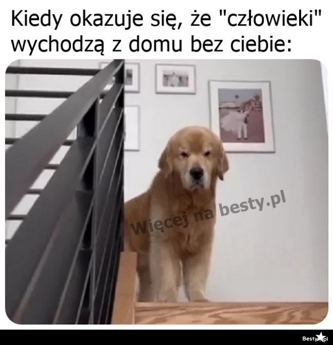 
    A to zdrajcy 