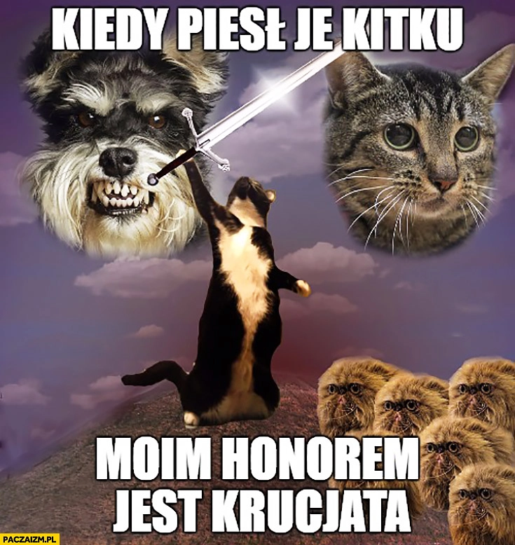 
    Kiedy pieseł je kitku moim honorem jest krucjata. Kot z mieczem