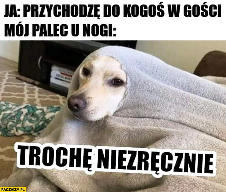 
    Przychodzę do kogoś w gości, mój palec u nogi stopy wystaje ze skarpetki: trochę niezręcznie pies