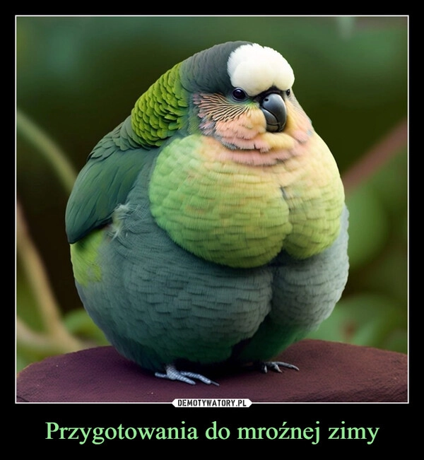 
    Przygotowania do mroźnej zimy