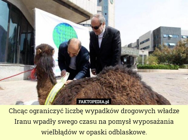 
    Chcąc ograniczyć liczbę wypadków drogowych władze Iranu wpadły swego czasu