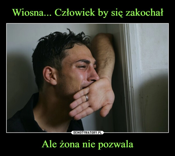 
    Wiosna... Człowiek by się zakochał Ale żona nie pozwala