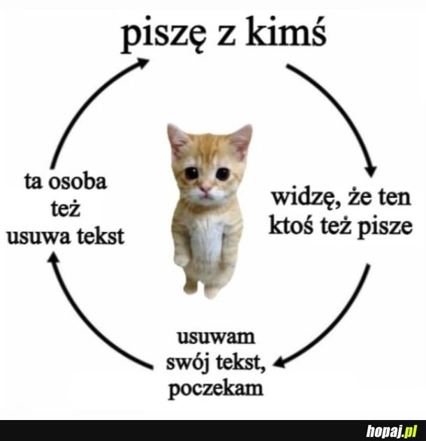 
    Wiadomość