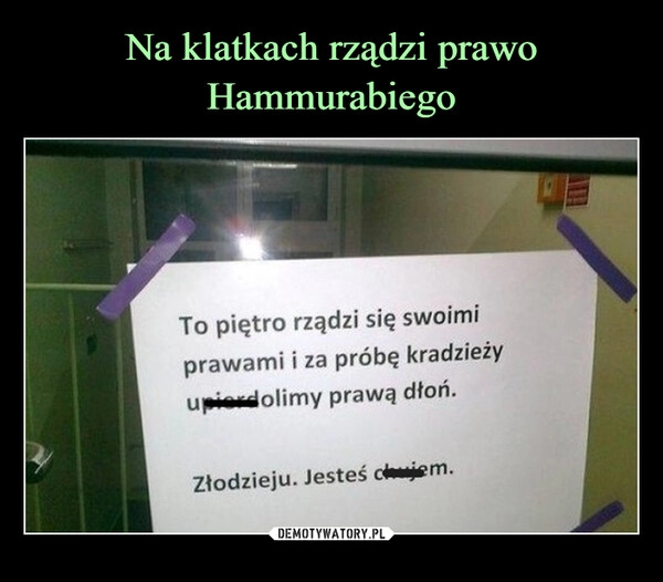 
    
Na klatkach rządzi prawo Hammurabiego 