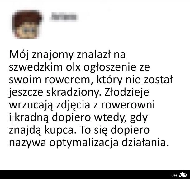 
    Złodzieje w Szwecji 