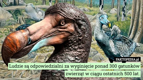 
    Ludzie są odpowiedzialni za wyginięcie ponad 300 gatunków zwierząt w ciągu