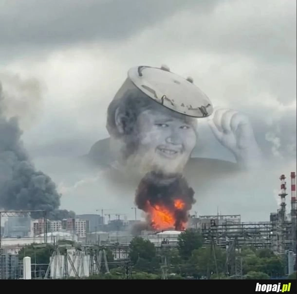 
    M'lady