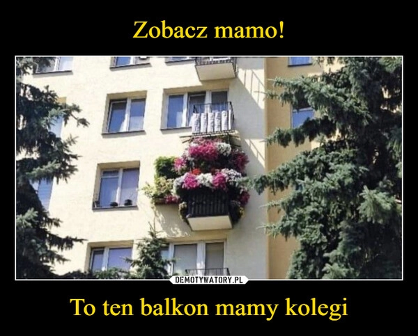 
    Zobacz mamo! To ten balkon mamy kolegi