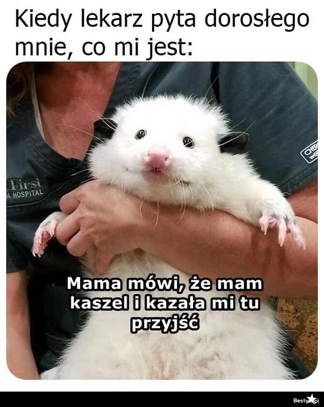 
    Mama kazała 