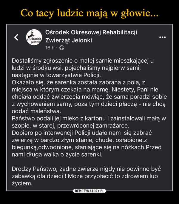 
    Co tacy ludzie mają w głowie...