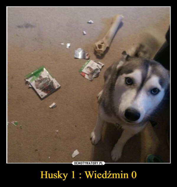 
    Husky 1 : Wiedźmin 0