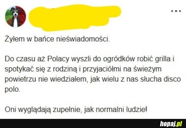 
    Wszędzie disco polo.