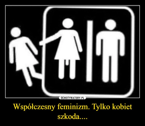 
    Współczesny feminizm. Tylko kobiet szkoda....