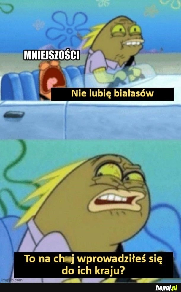 
    Mniejszości