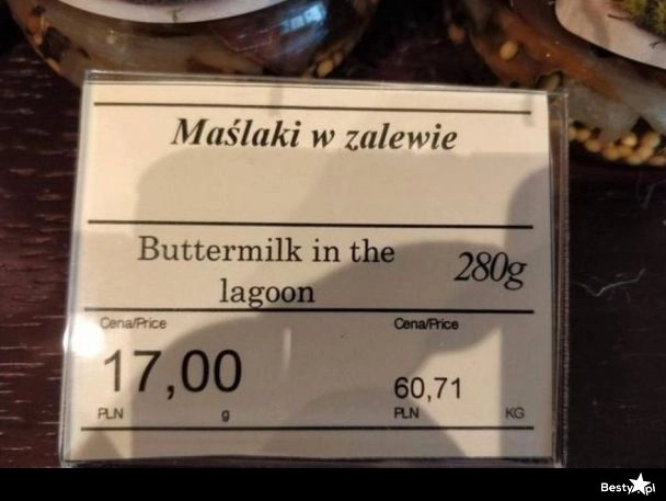 
    Maślaki w zalewie 