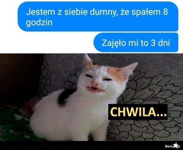 
    Chwila, chwila 