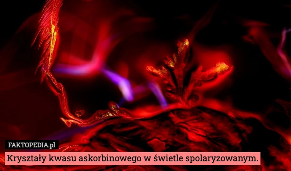 
    Kryształy kwasu askorbinowego w świetle spolaryzowanym.