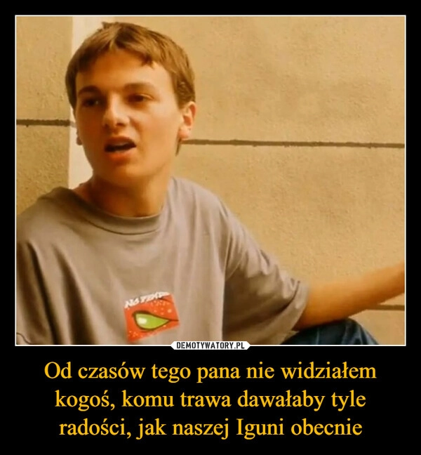 
    Od czasów tego pana nie widziałem kogoś, komu trawa dawałaby tyle radości, jak naszej Iguni obecnie