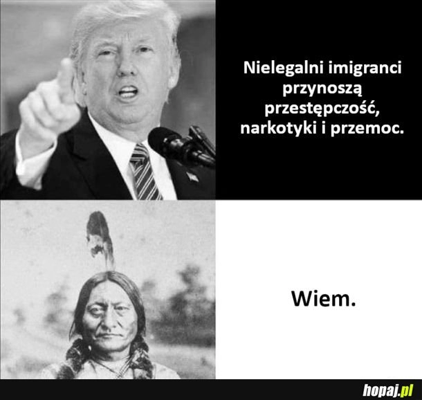 
    Nielegalni imigranci