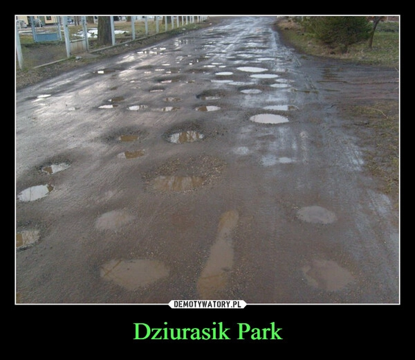 
    Dziurasik Park