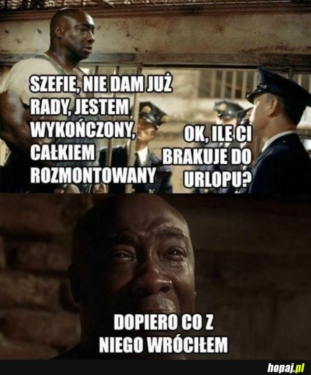 
    Trudne życie w pracy