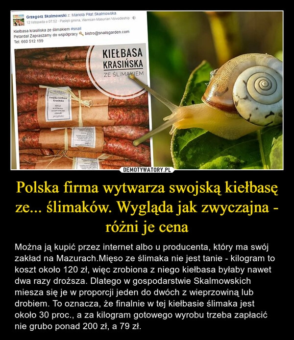 
    Polska firma wytwarza swojską kiełbasę ze... ślimaków. Wygląda jak zwyczajna - różni je cena