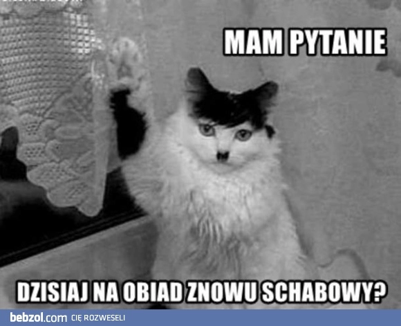 
    Pytanko