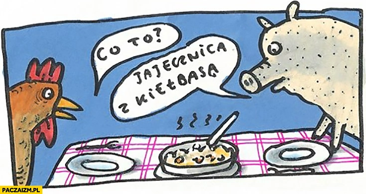 
    Co to? Jajecznica z kiełbasą kogut kurczak i świnia prosiak jedzą