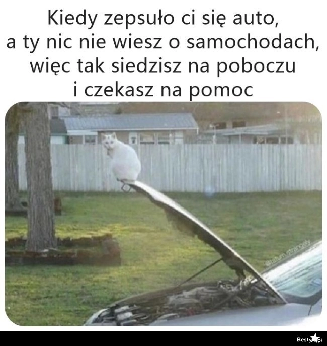 
    Tylko tyle pozostało 