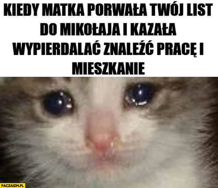 
    Kiedy matka porwała Twój list do Mikołaja i kazała wypierdzielać, znaleźć pracę i mieszkanie smutny kot