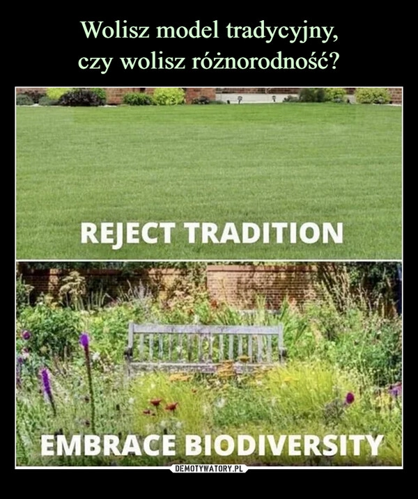 
    Wolisz model tradycyjny,
czy wolisz różnorodność?