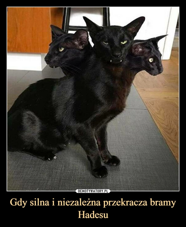 
    Gdy silna i niezależna przekracza bramy Hadesu