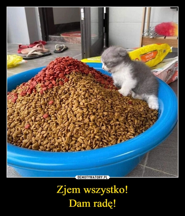 
    Zjem wszystko!
Dam radę!