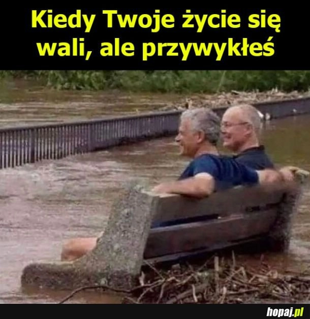 
    Jest spoko