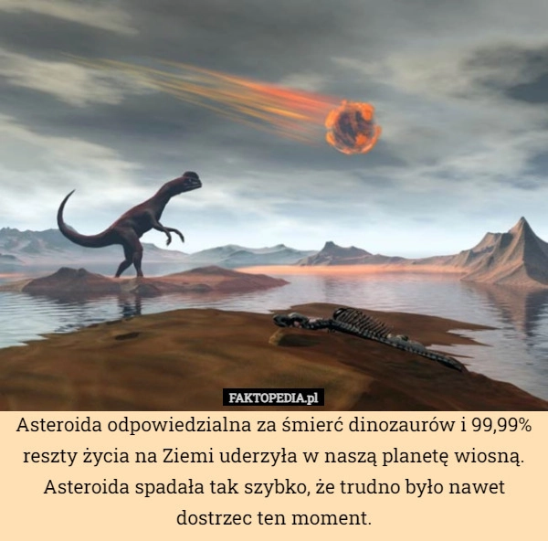 
    Asteroida odpowiedzialna za śmierć dinozaurów i 99,99% reszty życia na Ziemi