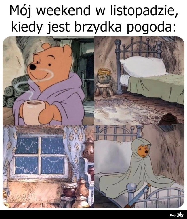 
    Zimny, listopadowy dzień 