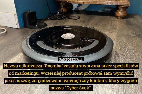 
    Nazwa odkurzacza "Roomba" została stworzona przez specjalistów