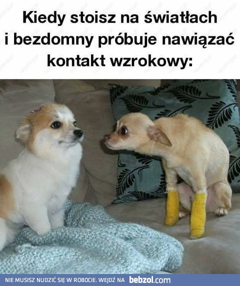 Kontakt wzrokowy 