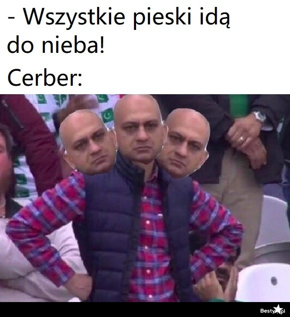 
    Cerber 