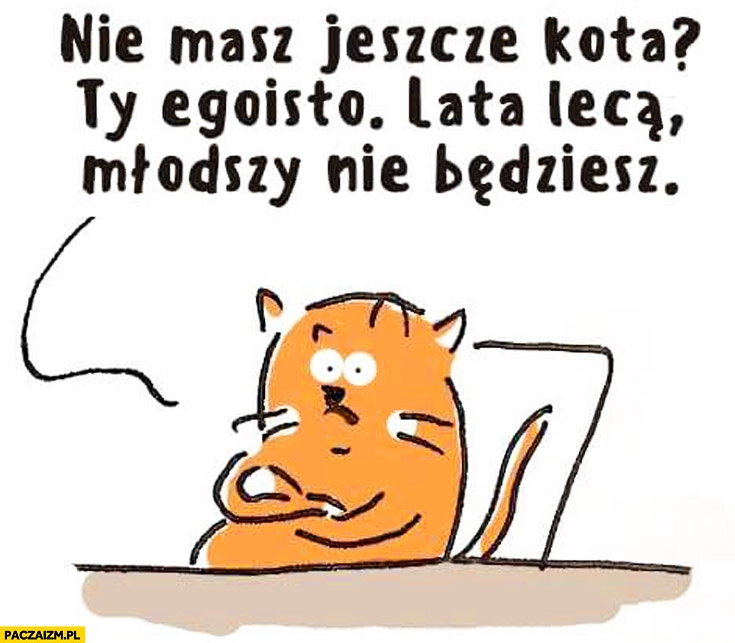 
    Nie masz jeszcze kota? Ty egoisto lata lecą, młodszy nie będziesz
