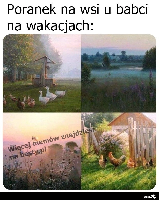 
    Wakacje u babci na wsi 