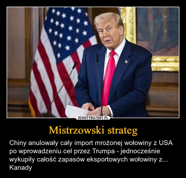 
    Mistrzowski strateg