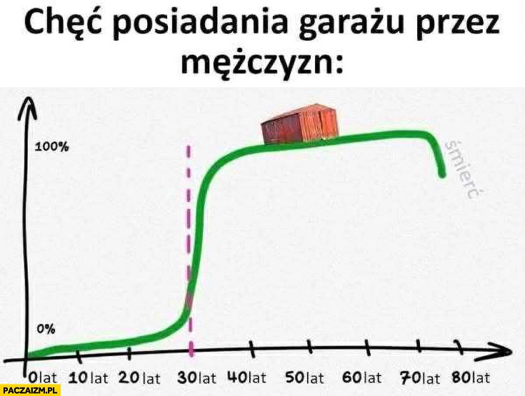 
    Chęć posiadania garażu przez mężczyzn wykres wiek